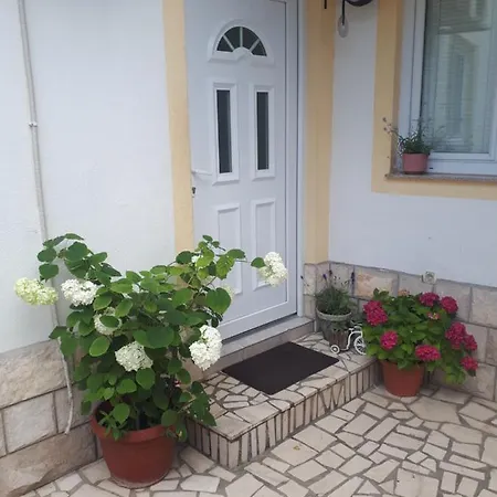 Miran Mostar
